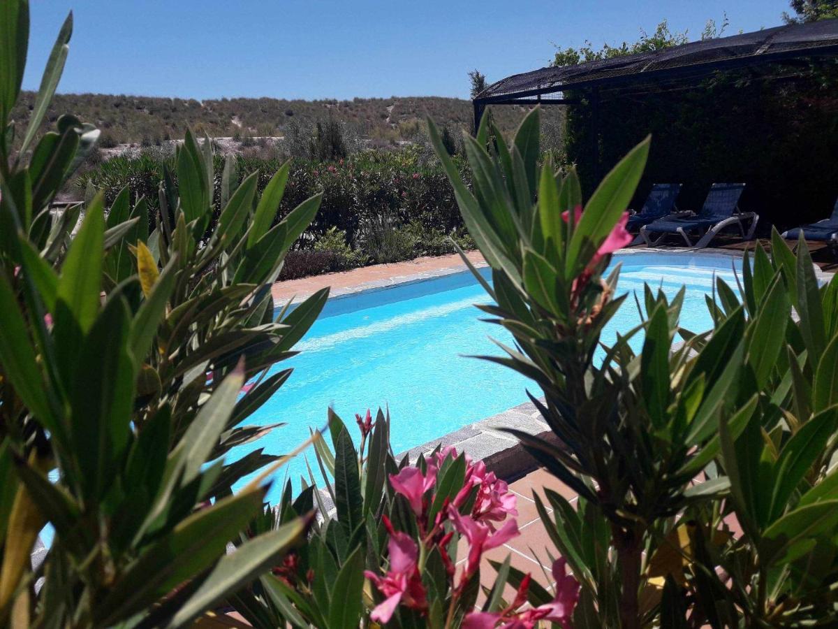 منزل الضيف بازا  في Cuevas Andalucia المظهر الخارجي الصورة